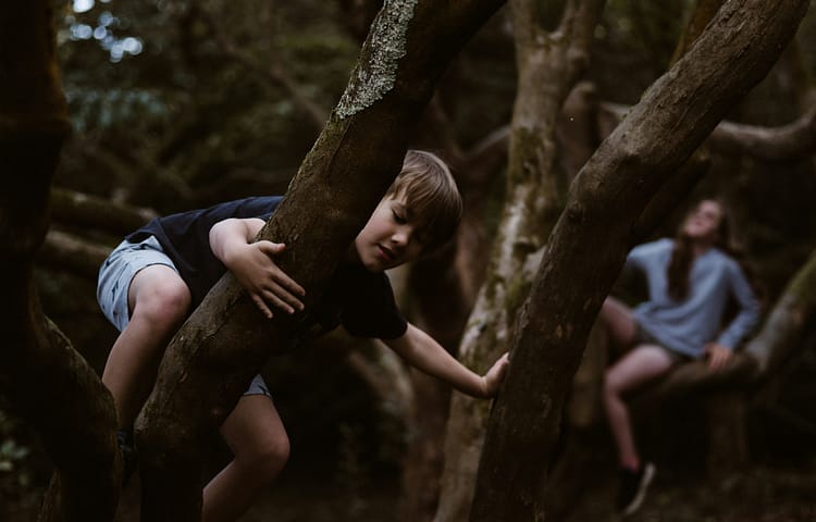 Boy clinging to a tree trunk in a dim forest, with blurred figures in the background.