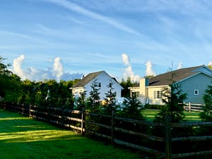 Img_0963 | David Todd Mccarty Suburban backyard with a wooden fence, green lawn, and white houses under a clear blue sky with a few clouds.
