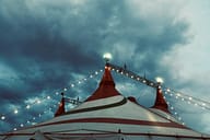 Magyar Nemzeti Cirkusz